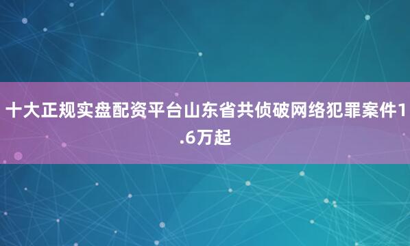 十大正规实盘配资平台山东省共侦破网络犯罪案件1.6万起