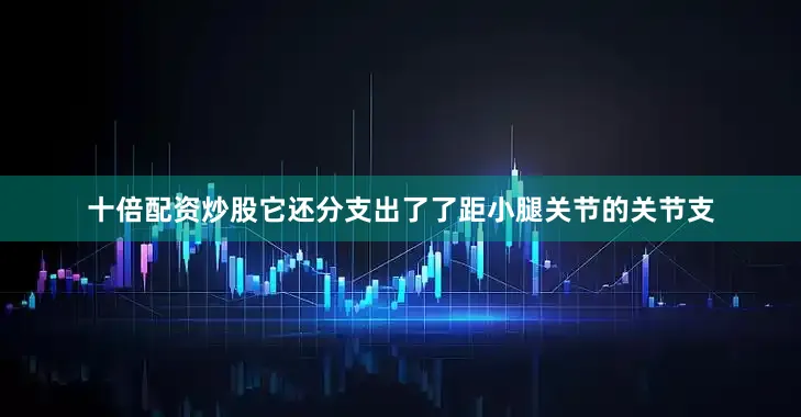 十倍配资炒股它还分支出了了距小腿关节的关节支