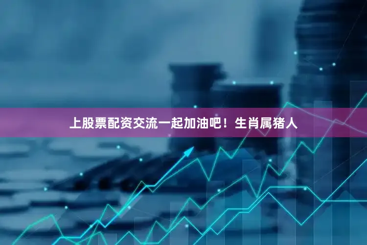 上股票配资交流一起加油吧！生肖属猪人