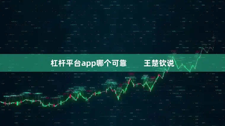 杠杆平台app哪个可靠        王楚钦说