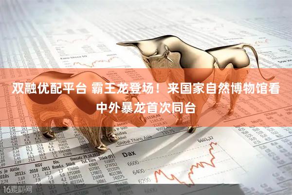 双融优配平台 霸王龙登场！来国家自然博物馆看中外暴龙首次同台